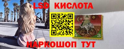 сатива Малгобек
