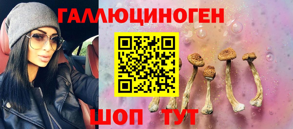 Галлюциногенные грибы Psilocybe Зима